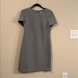 Calvin Klein Professional Dress